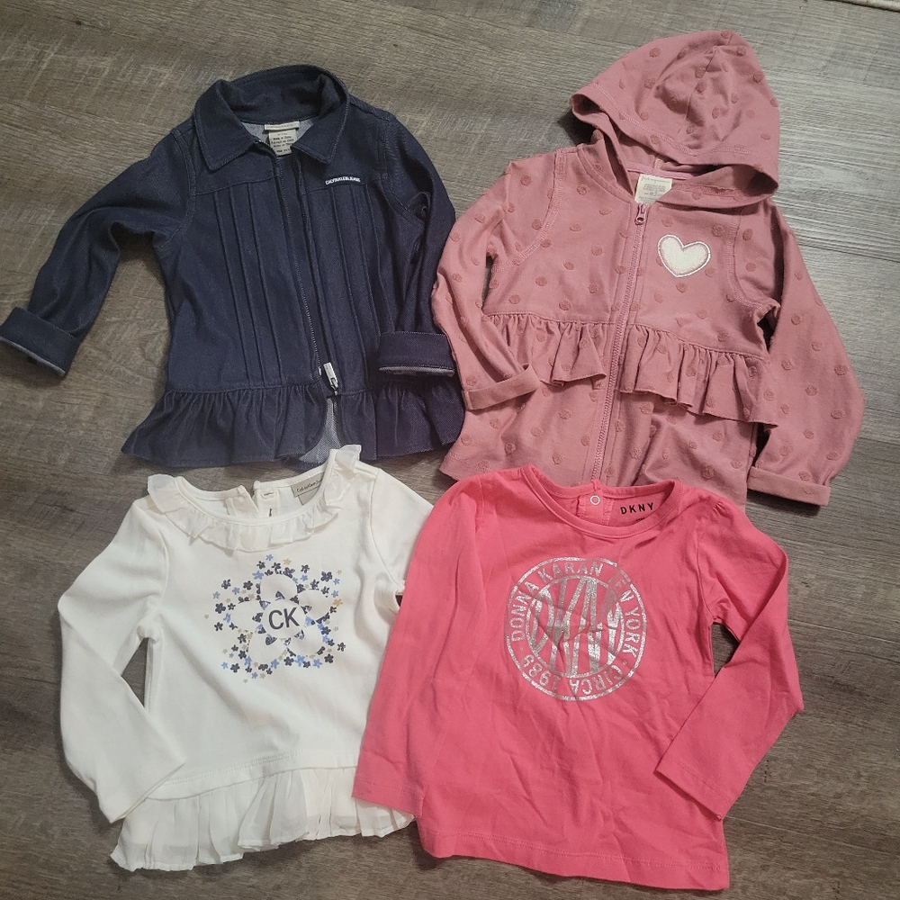 NWOT baby toddler girl tops lot 4 longsleeves 24m